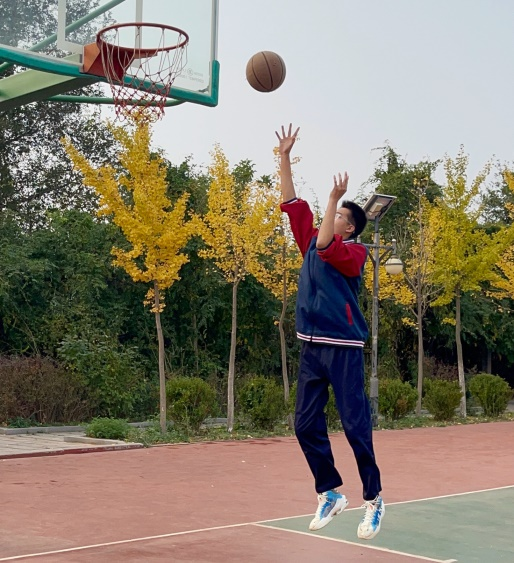图片4