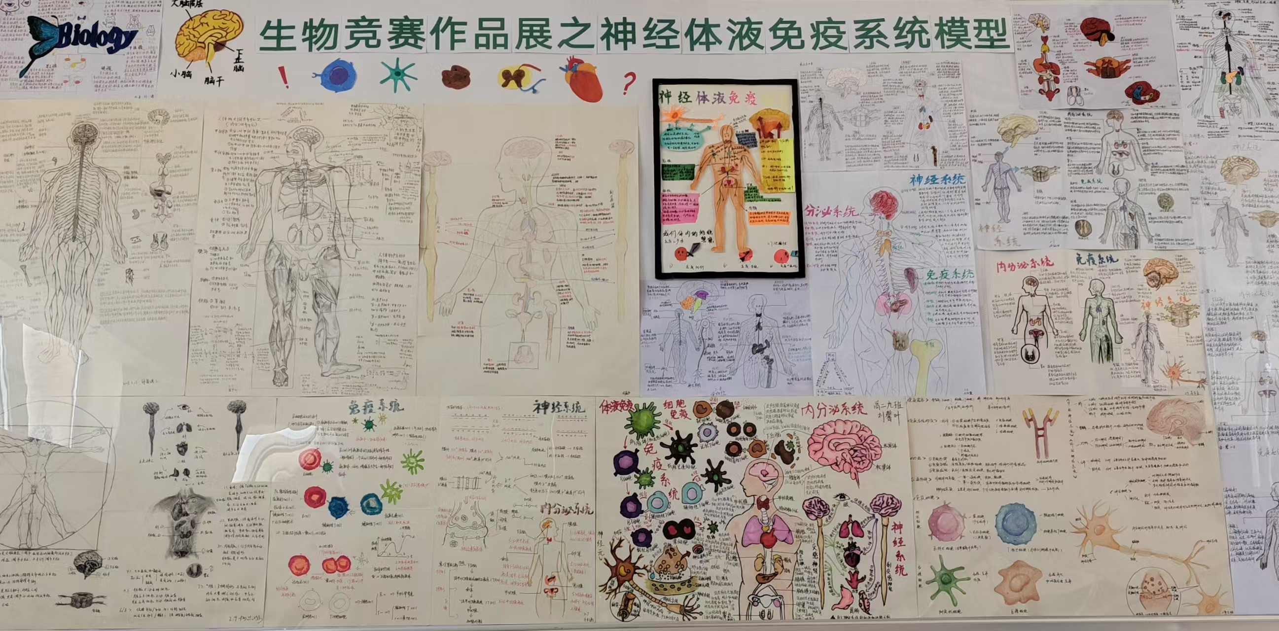 微信图片_20250402100700
