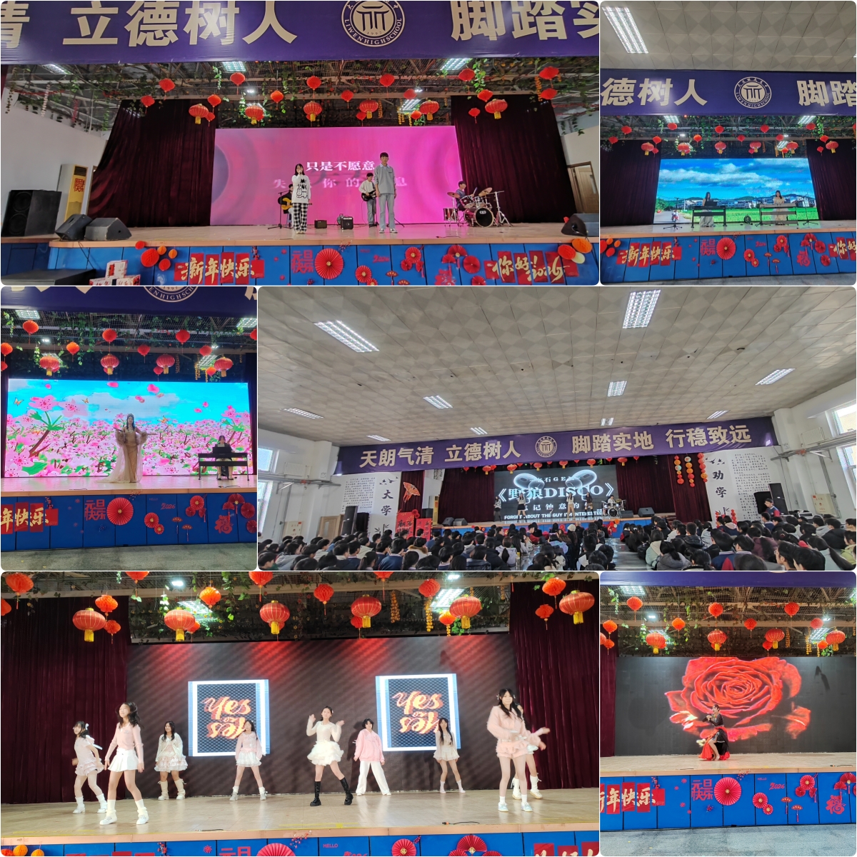 节目汇总1